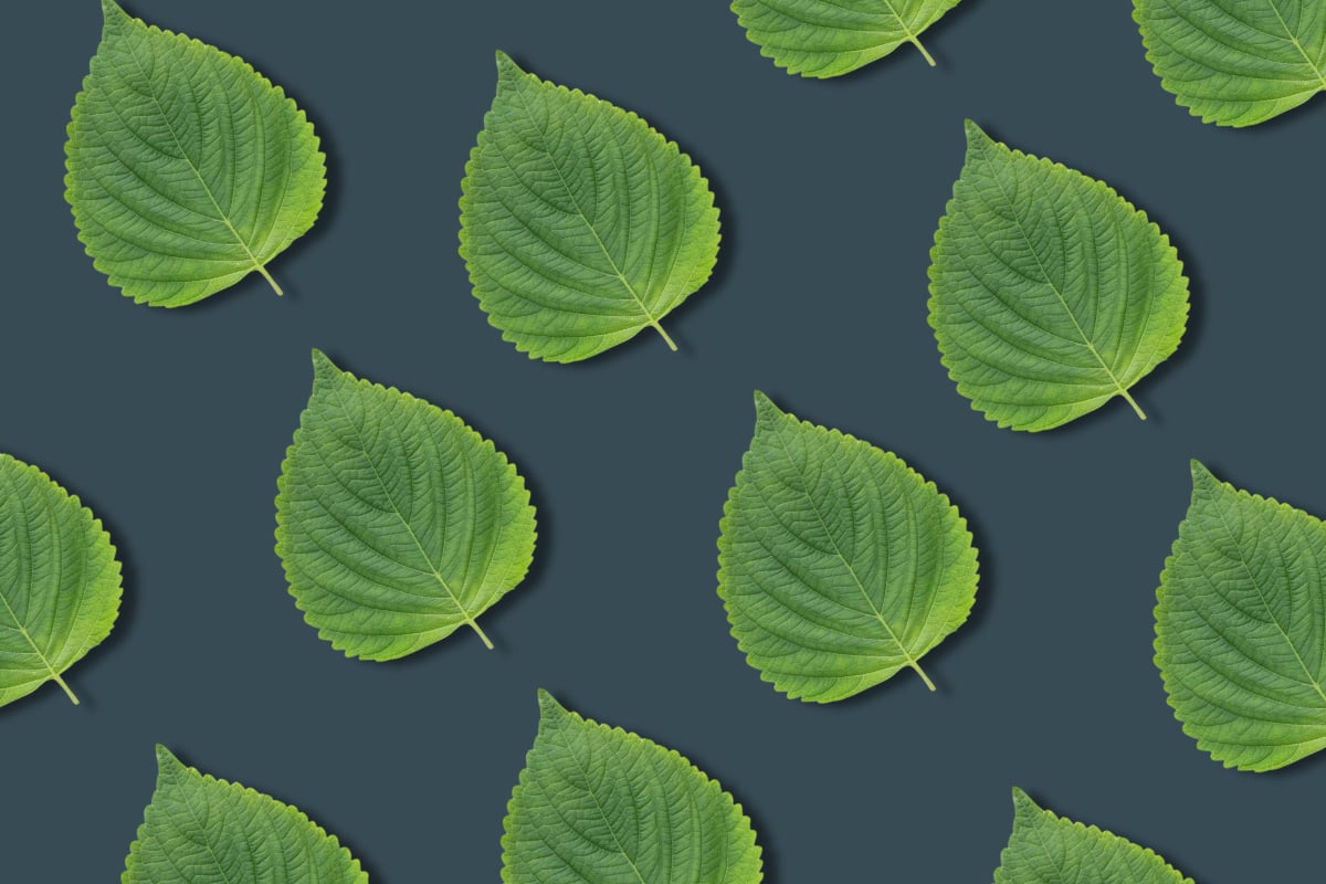 Flavors on the Edge HERO Catching the Wave of Flavored Tequilas