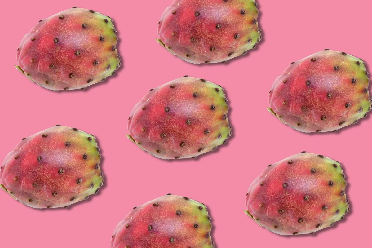 Catching the Wave of Flavored Tequilas